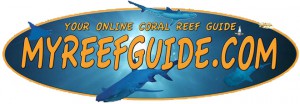 Online Coral Reef Guide