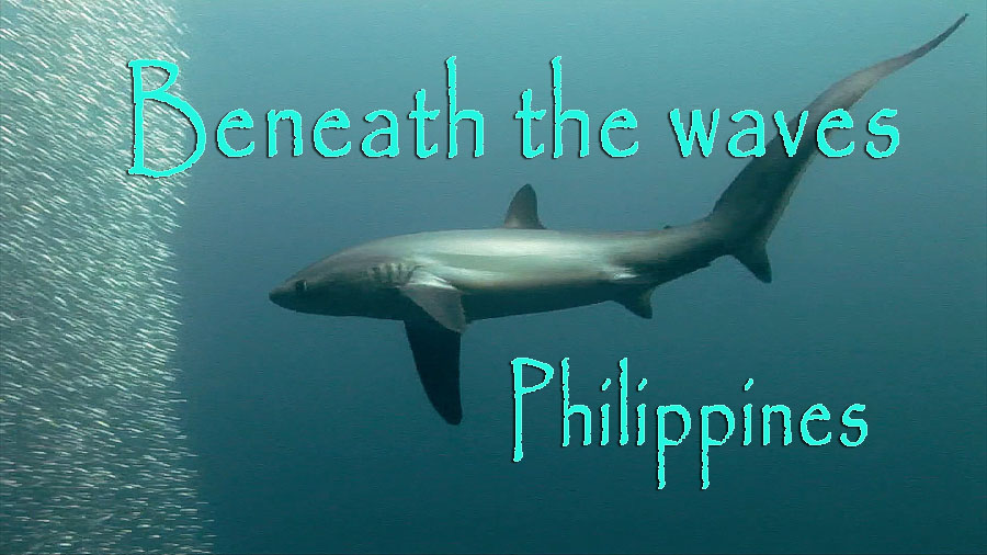 Beneath the waves