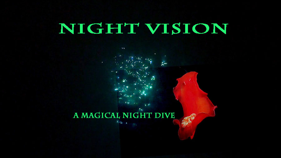 Nightvision